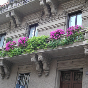Progettazione terrazzi floreali a Milano